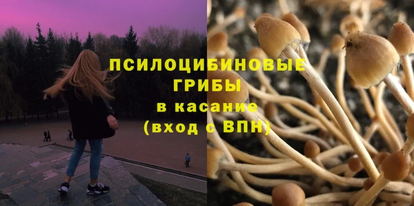 твердый Белоозёрский