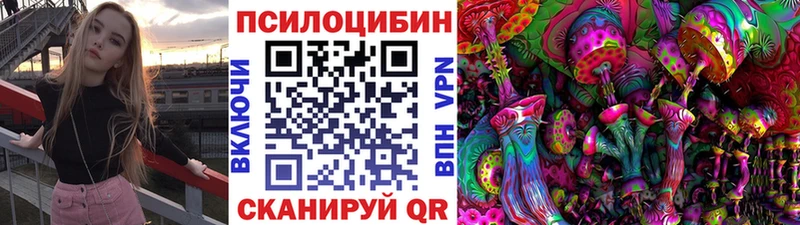 omg как зайти  Калининец  Галлюциногенные грибы Psilocybe 